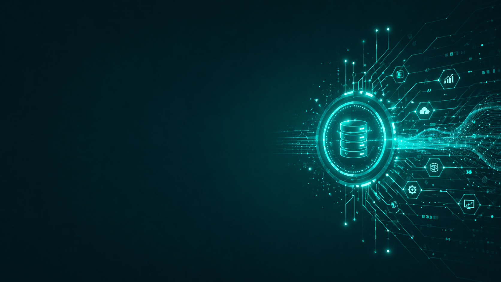 Enterprise Data Management